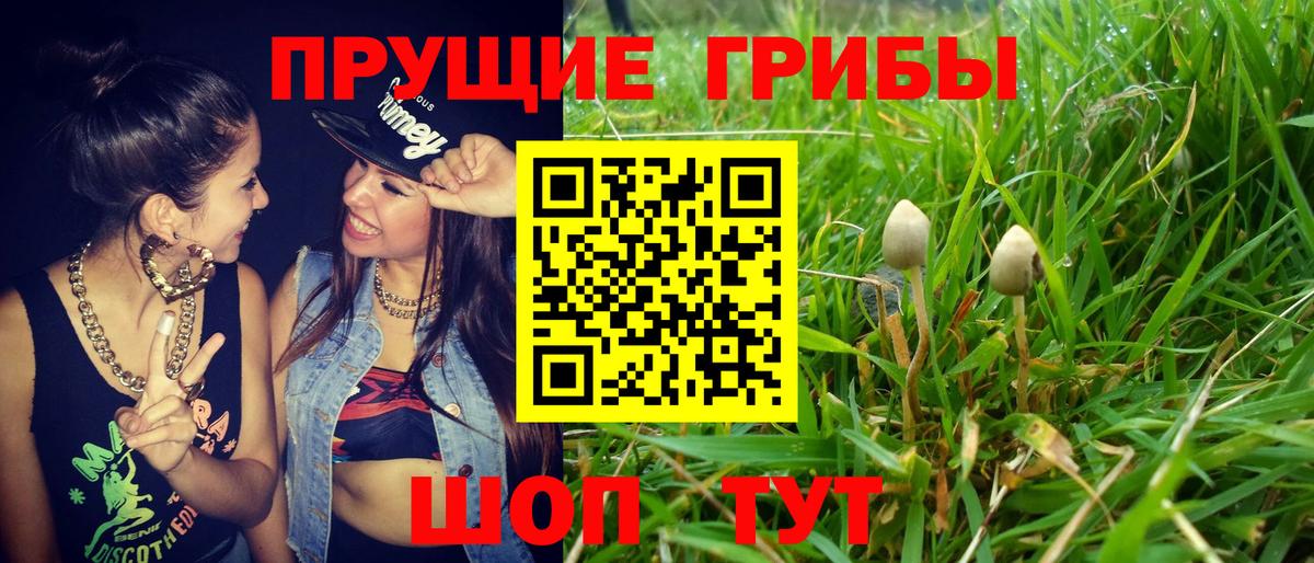 Большой Камень  магазин    Псилоцибиновые грибы Magic Shrooms  Вход с VPN  Галлюциногенные грибы мицелий 