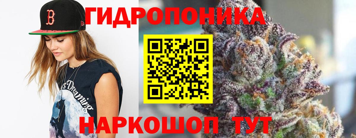 Марихуана сатива Большой Камень
